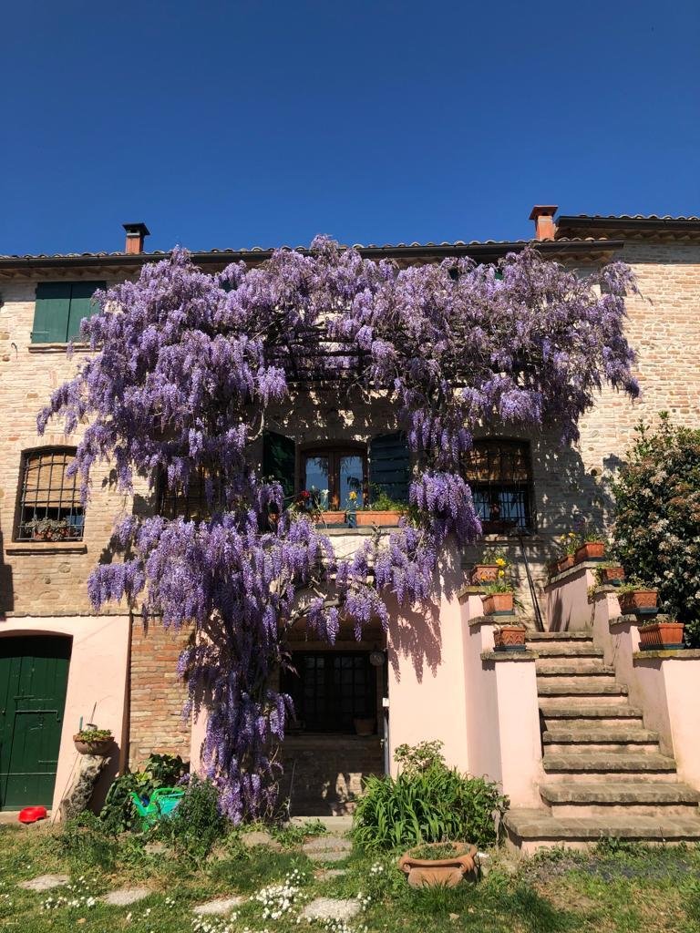 Villa in Longiano, Emilia-Romagna, Italien 1 - 12118603