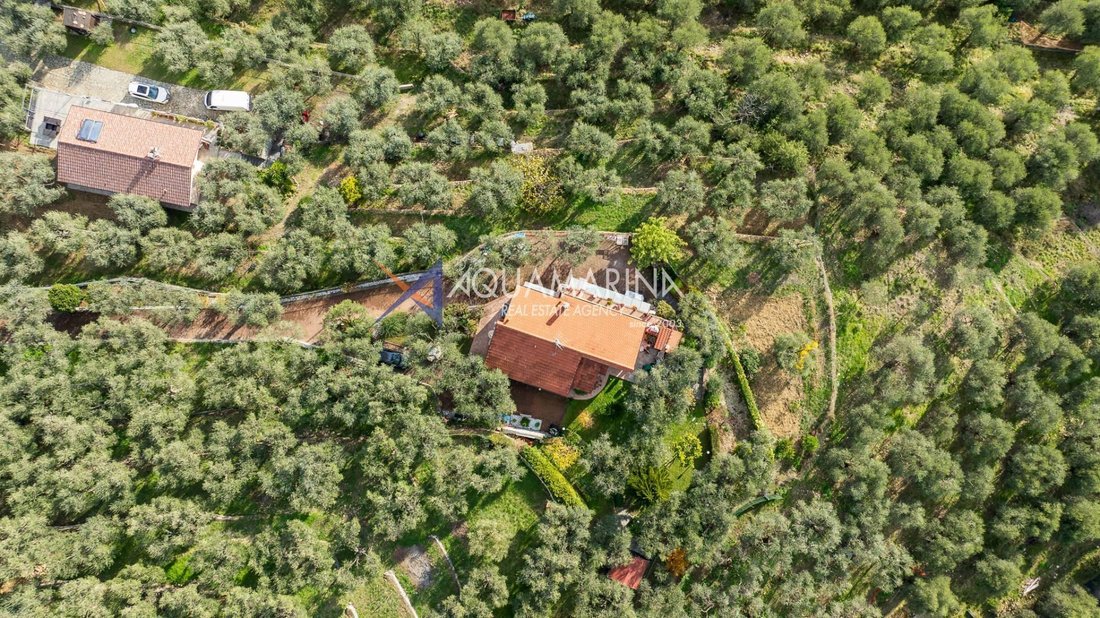 Villa in Porto Maurizio, Imperia, Liguria 4 - 16917636