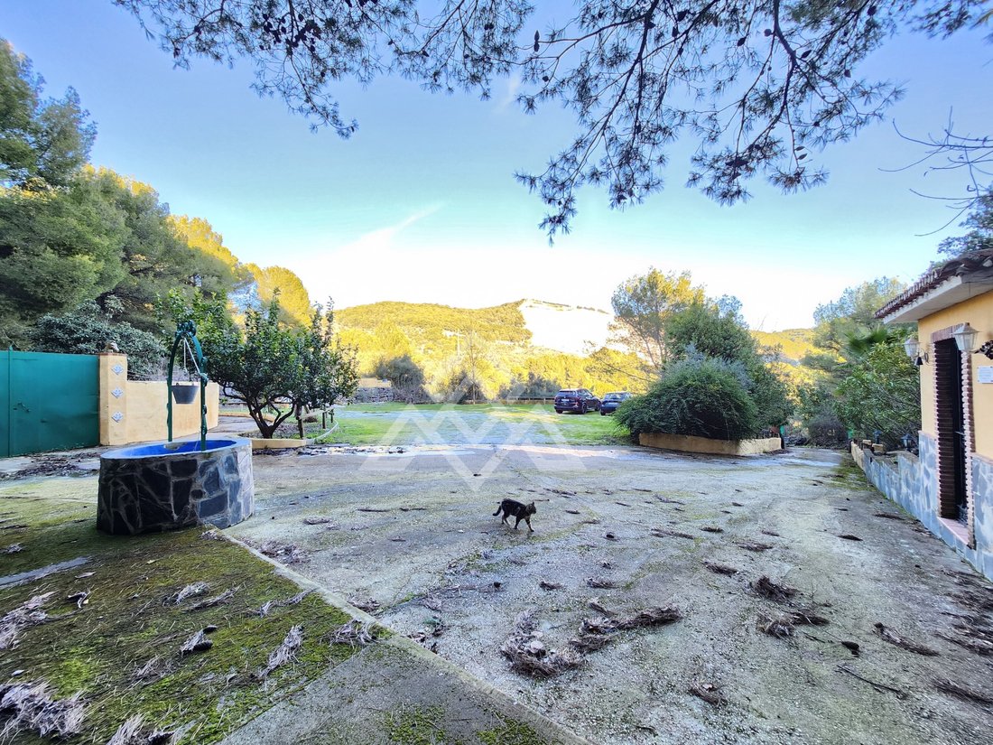Country House in Monda, Andalusia, Spain 5 - 16919294