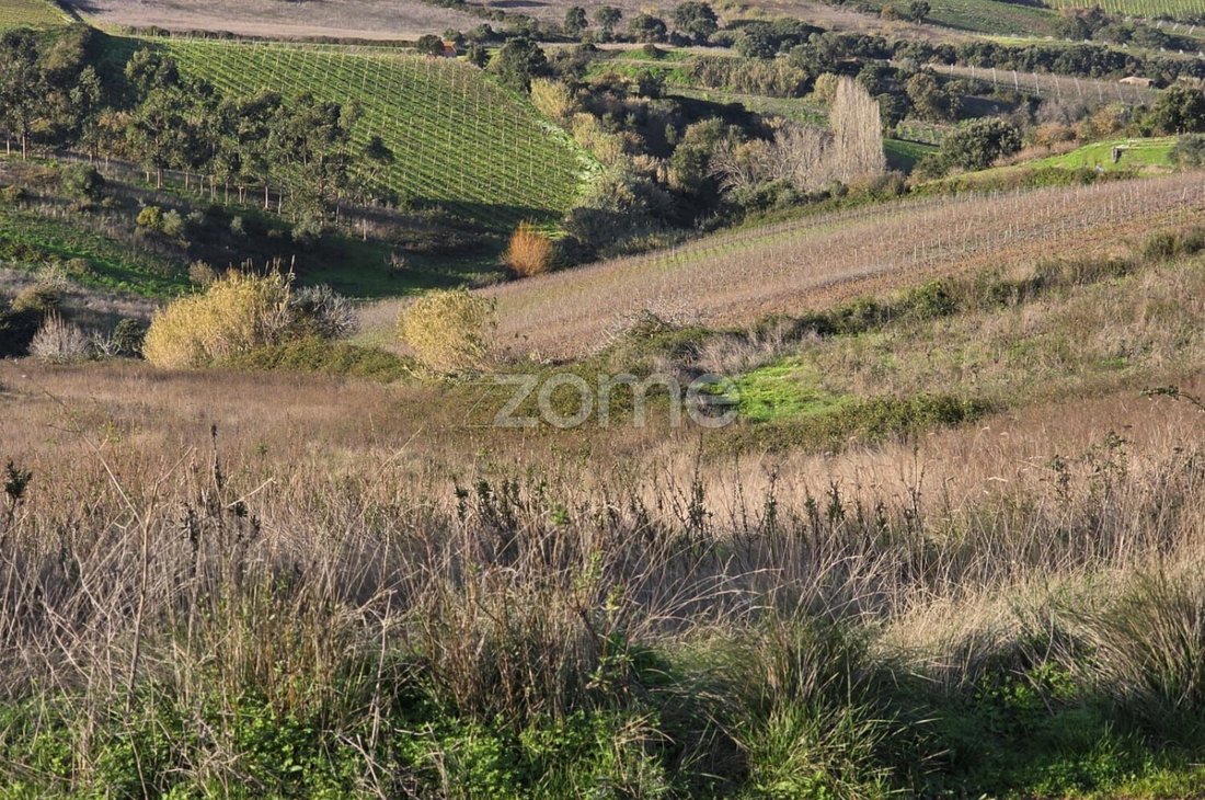 Land in Turcifal, Lisbon, Portugal 1 - 16919503