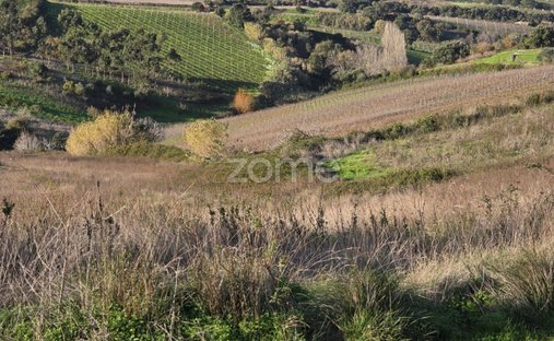 Land in Turcifal, Lisbon, Portugal 1
