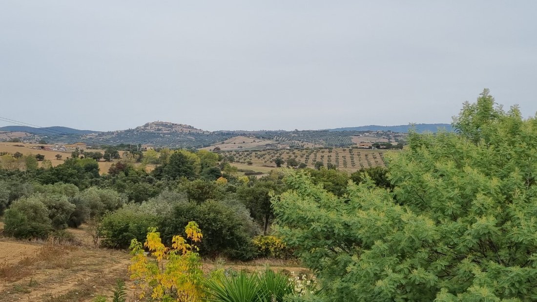 Country House in Magliano in Toscana, Tuscany, Italy 5 - 16917506