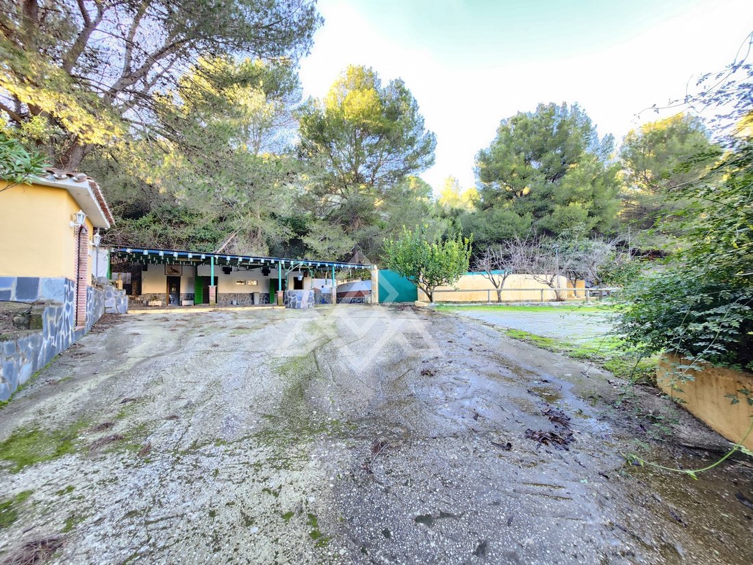 Country House in Monda, Andalusia, Spain 3 - 16919294