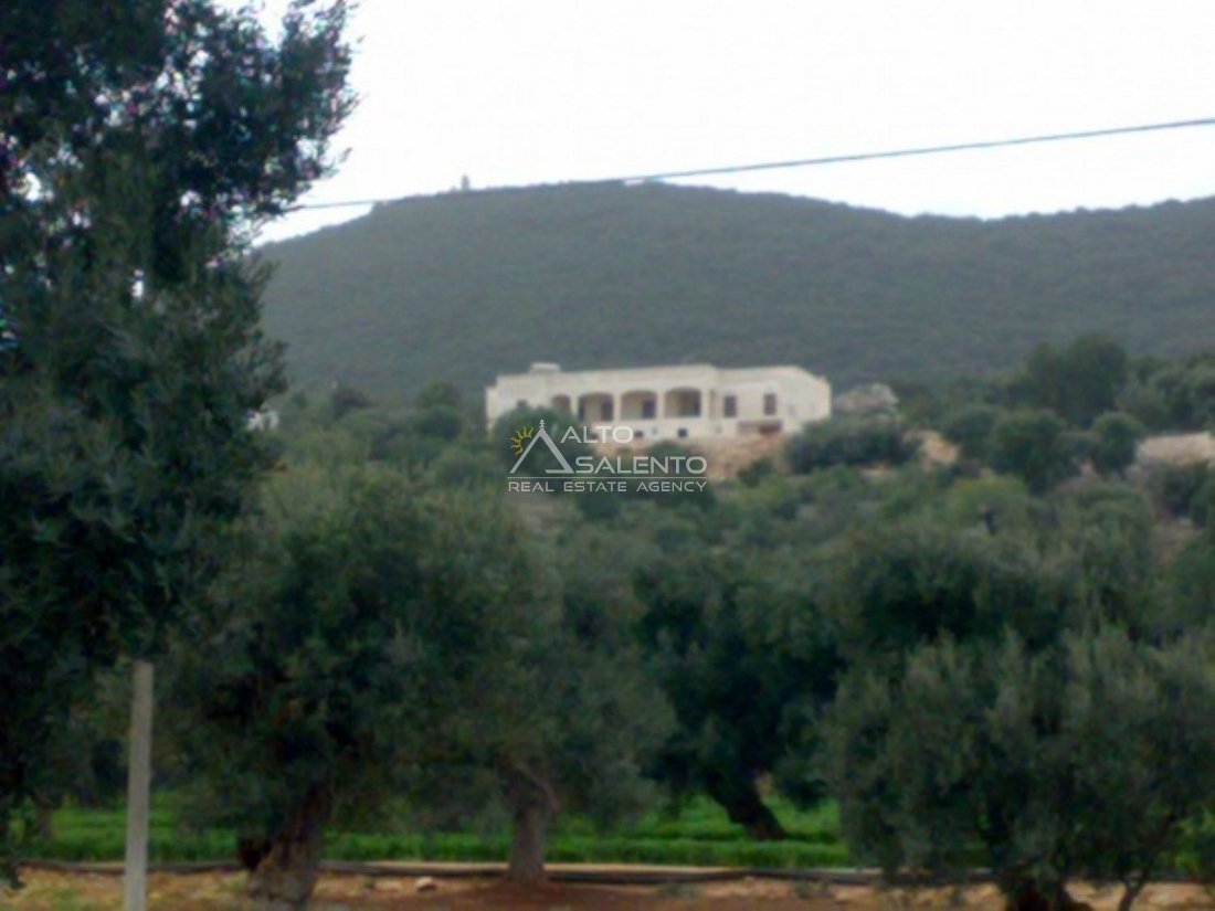 Estate in Historic Center, Monopoli, Italy 5 - 16918237