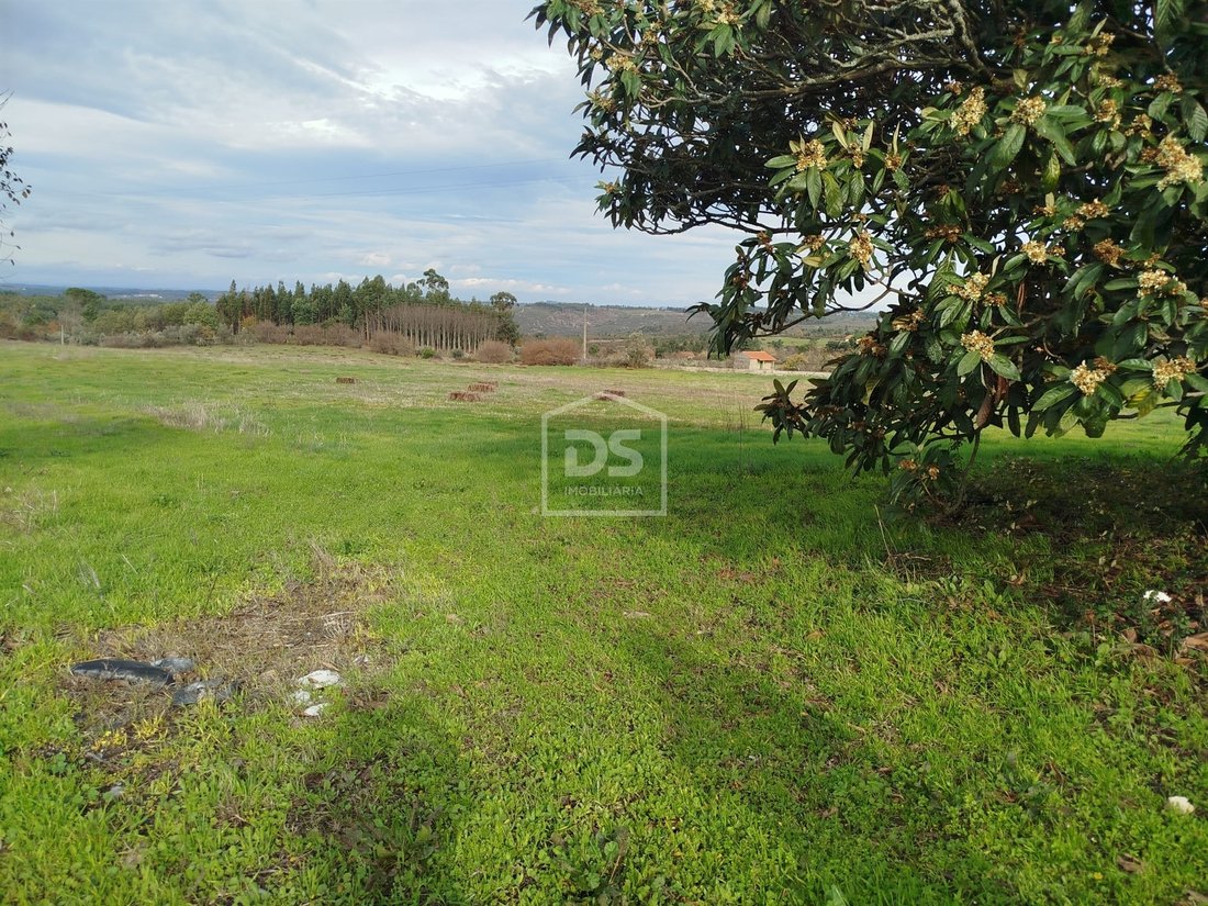 House in Tourais e Lajes, Guarda District, Portugal 5 - 16919239
