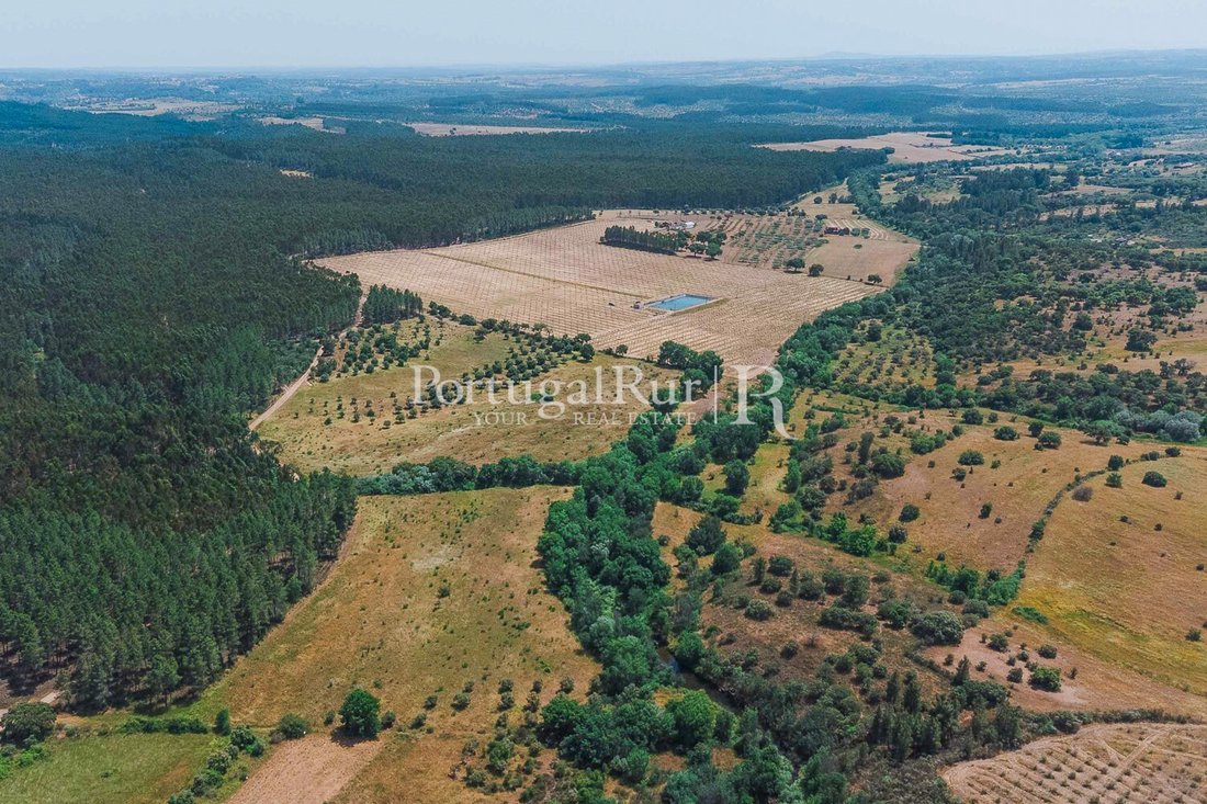 Finca in Penamacor, Castelo Branco District, Portugal 3 - 16919296