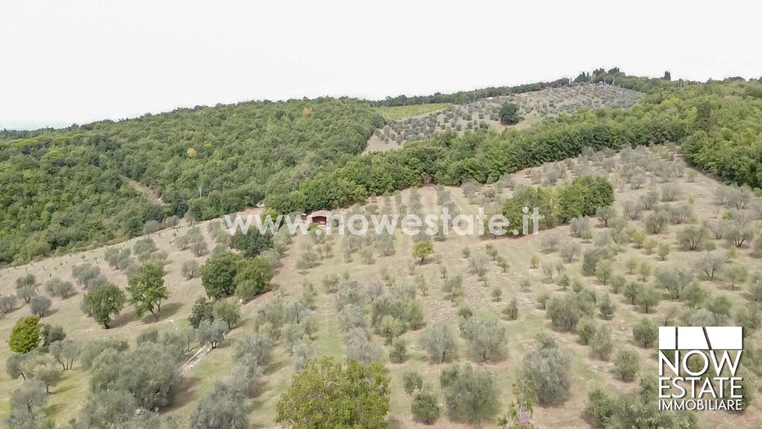 Country House in Tavarnelle Val di Pesa, Tuscany, Italy 3 - 16917781