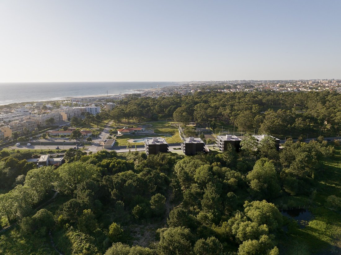 Apartment in Madalena, Porto District, Portugal 5 - 16919369