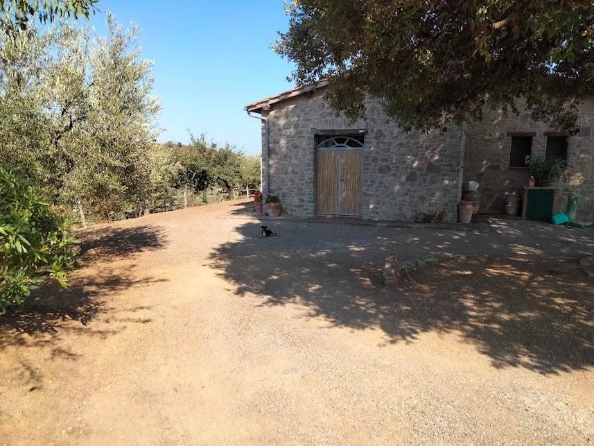 Altro a Scansano, Toscana, Italia 4 - 16921632