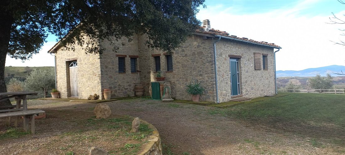 Altro a Scansano, Toscana, Italia 1 - 16921632