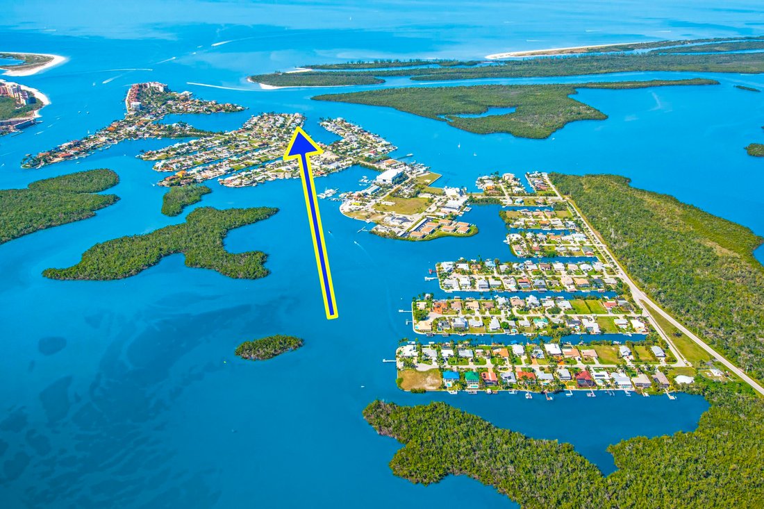 House in Naples, Florida, United States 3 - 16922583