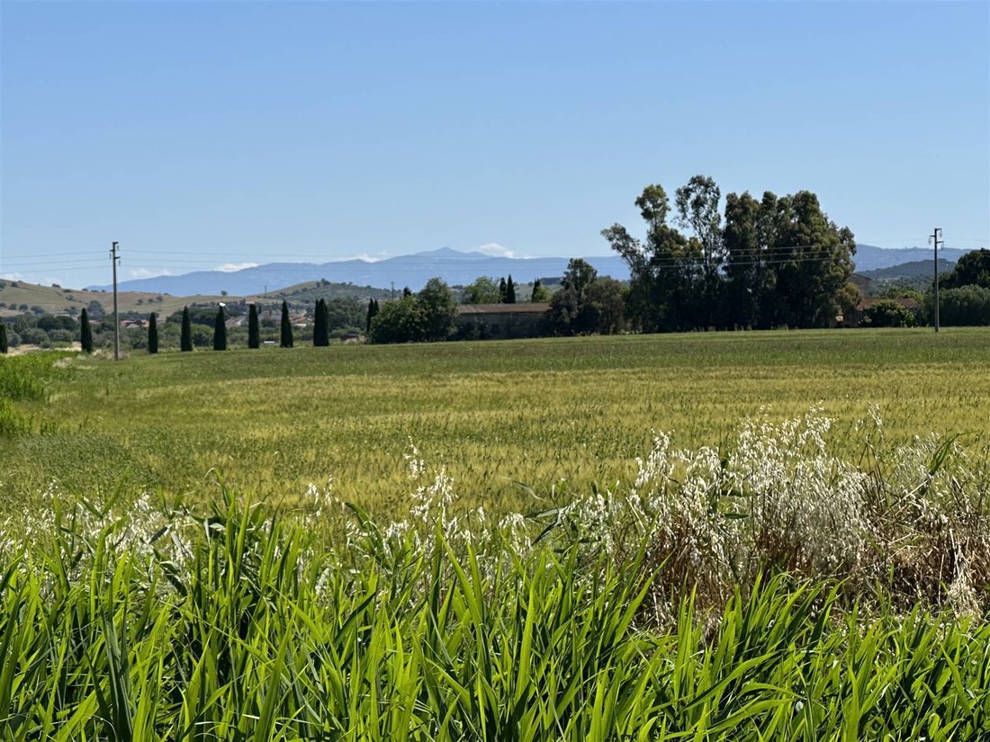 Country House in Grosseto, Tuscany, Italy 4 - 16923088