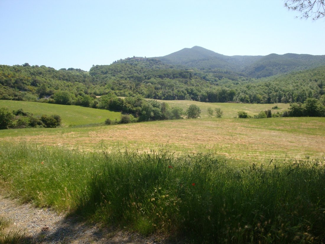 Country House in Montecatini Val di Cecina, Tuscany, Italy 5 - 16922939