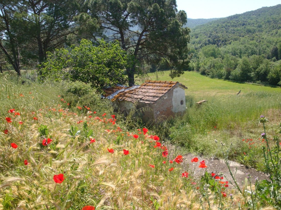 Country House in Montecatini Val di Cecina, Tuscany, Italy 2 - 16922939