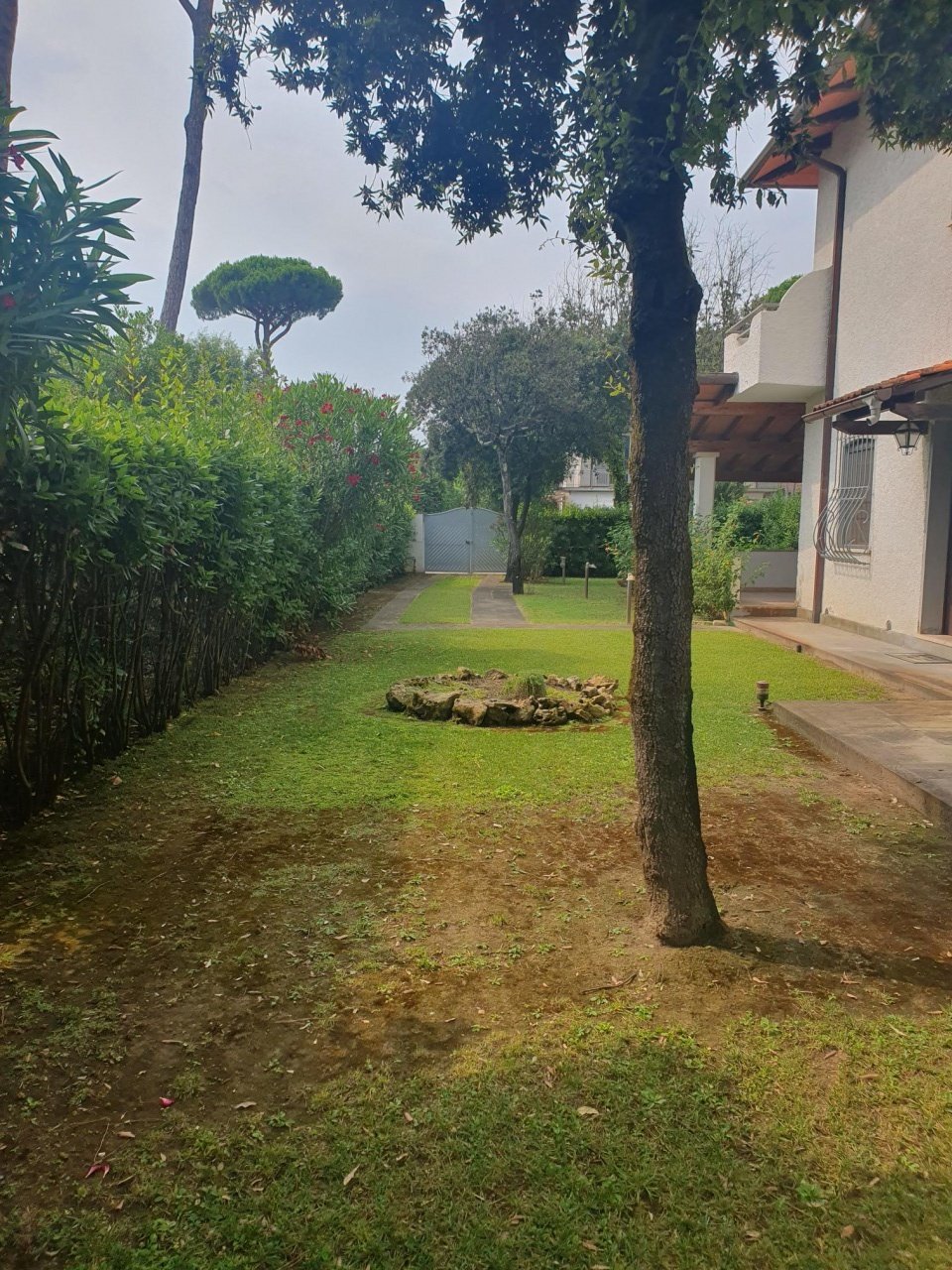 House in Vittoria Apuana, Forte dei Marmi, Tuscany 4 - 16922920