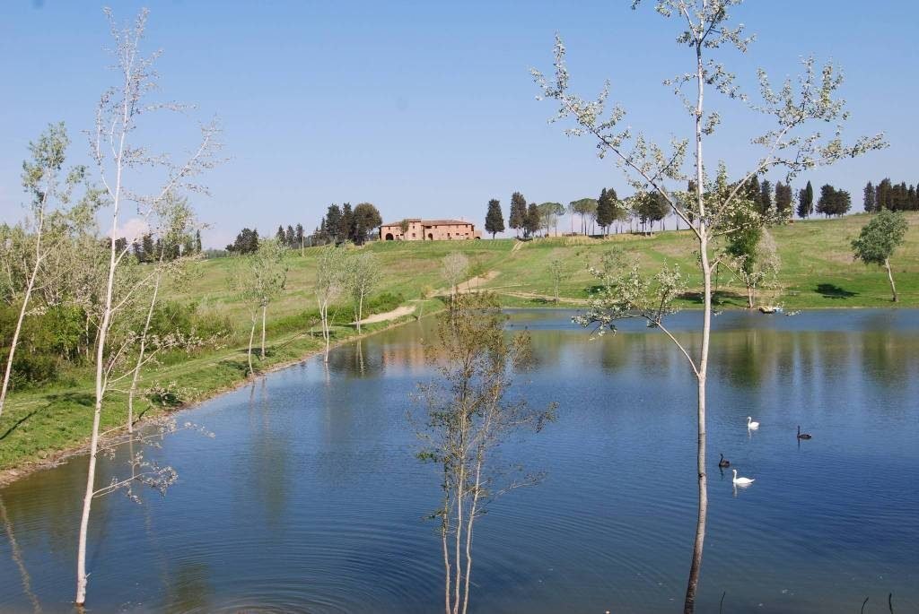 Estate in Peccioli, Tuscany, Italy 1 - 16923016