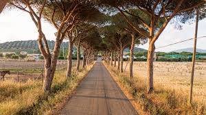 Country House in Grosseto, Tuscany, Italy 3 - 16923088