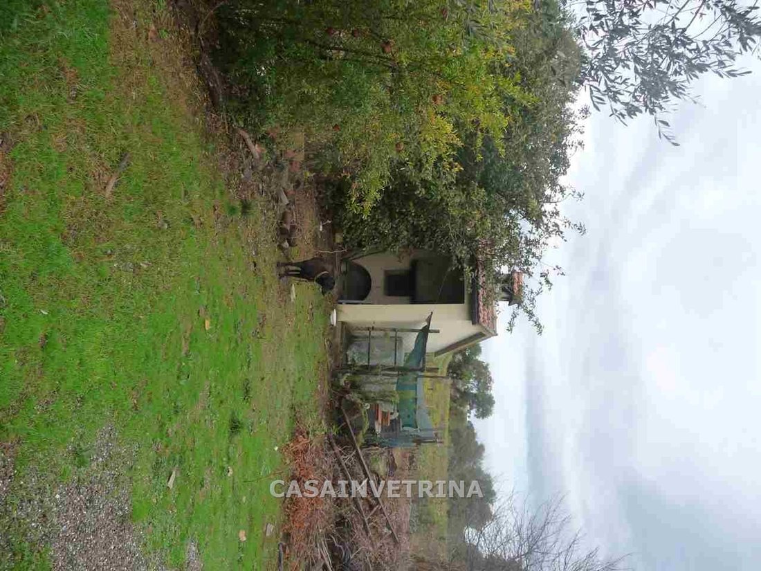Estate in Campagnatico, Tuscany, Italy 2 - 16923120