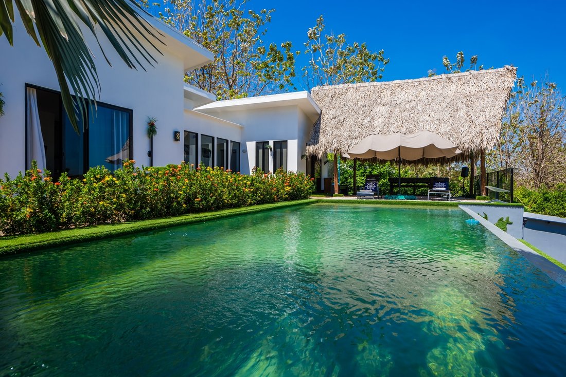 Villa in Tamarindo, Guanacaste Province, Costa Rica 2 - 16923762