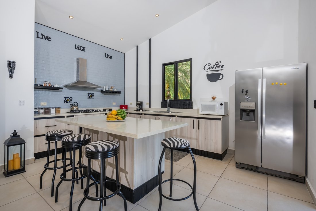 Villa in Tamarindo, Guanacaste Province, Costa Rica 3 - 16923762