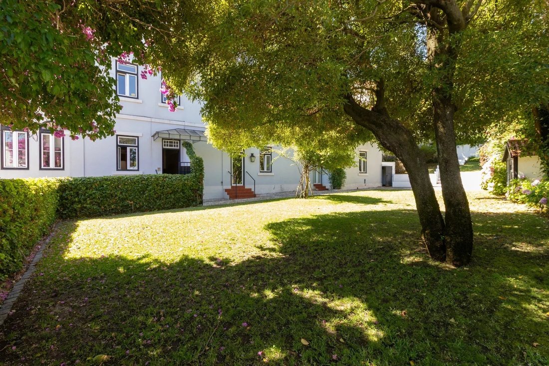 Estate in Sao Vicente, Lisbon, Portugal 5 - 16923897