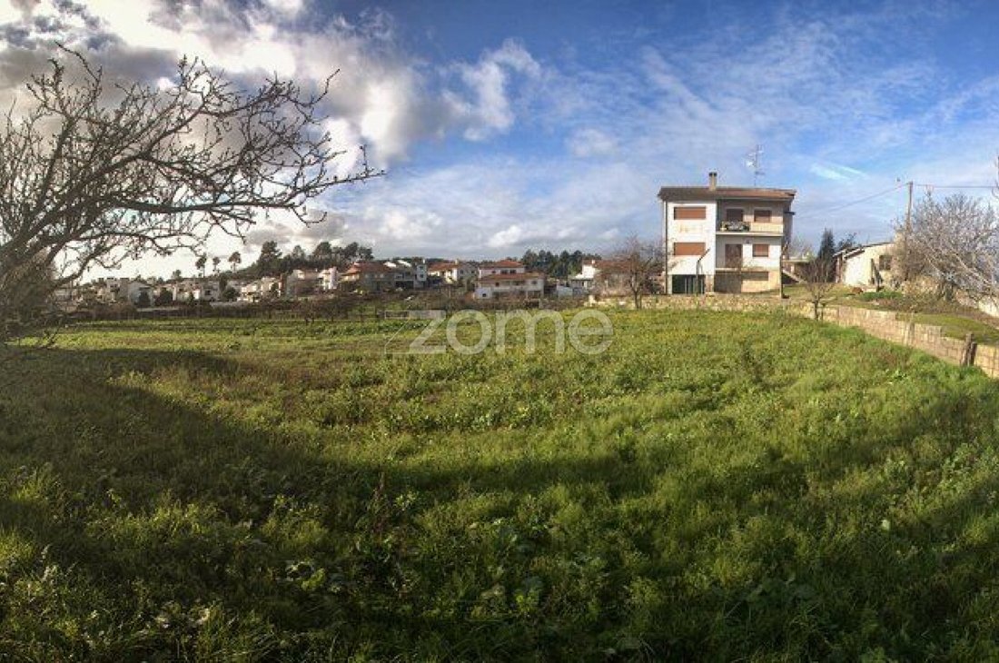 Finca a Santa Maria Maior, Distretto di Vila Real, Portogallo 4 - 16925940