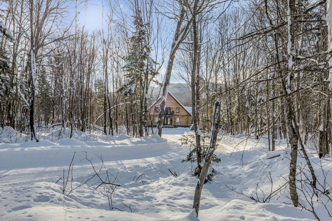 Land in Saint-Ferréol-les-Neiges, Quebec, Canada 3 - 16925648