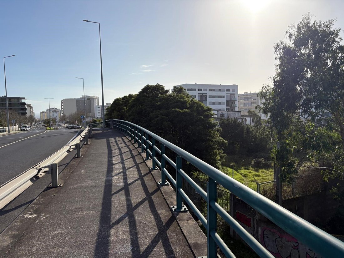 Ponta Delgada (Sao Pedro), Azores, Portugal 4 - 16841792