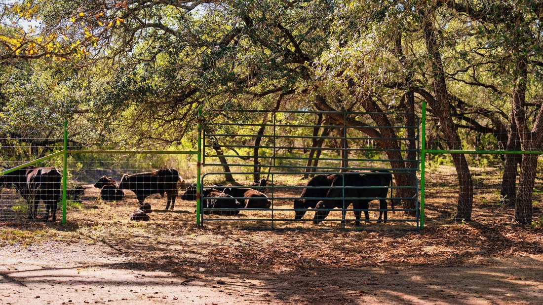 House in Round Mountain, Texas, United States 2 - 16924515