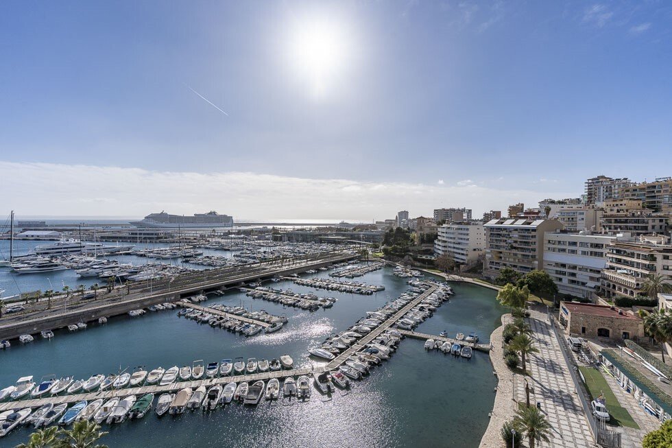 Apartment in Palma, Balearic Islands, Spain 3 - 16923851