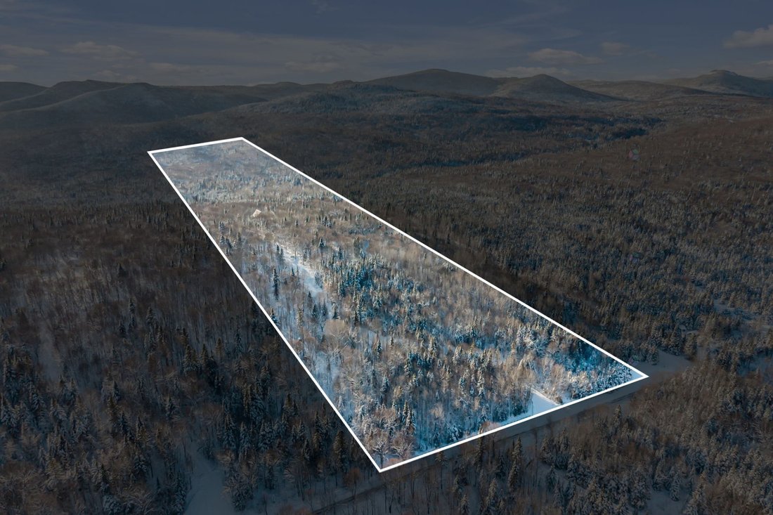 Land in Saint-Ferréol-les-Neiges, Quebec, Canada 1 - 16925648