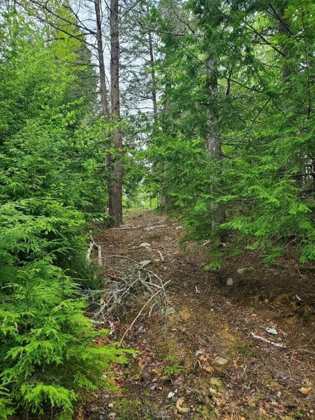 Land in Princeton, Maine, United States 5 - 15646791