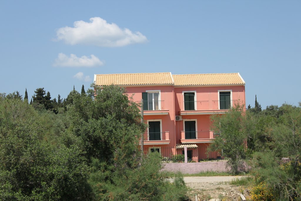 Altro a Lefkimmi, Peloponnese, Western Greece and the Ionian, Grecia 4 - 16923428