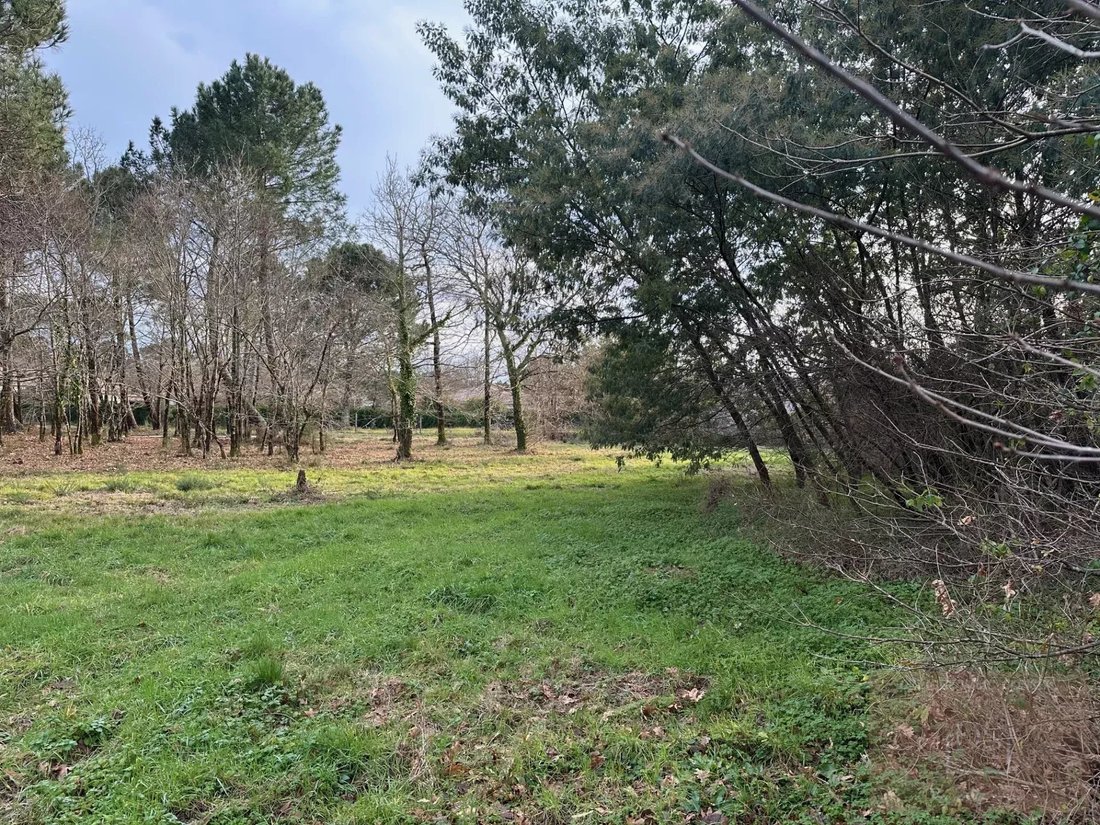 Land in Mestras, Gujan-Mestras, France 1 - 16919144