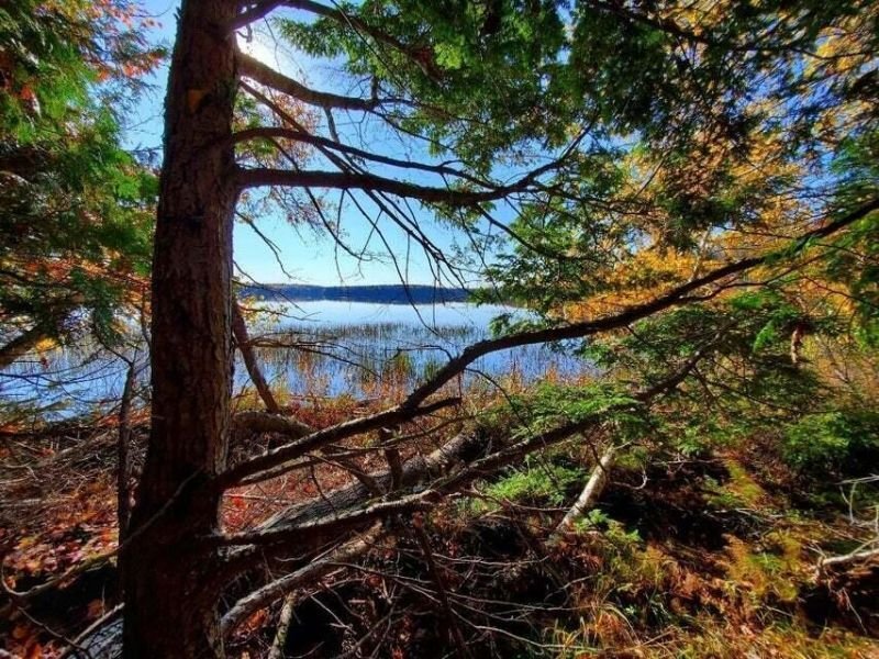 Land in Princeton, Maine, United States 1 - 15646791