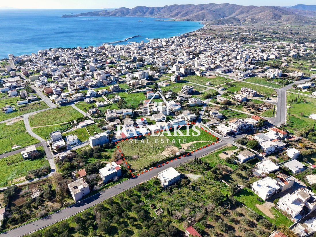 Land in Euboea, Thessaly and Central Greece, Greece 1 - 16926385