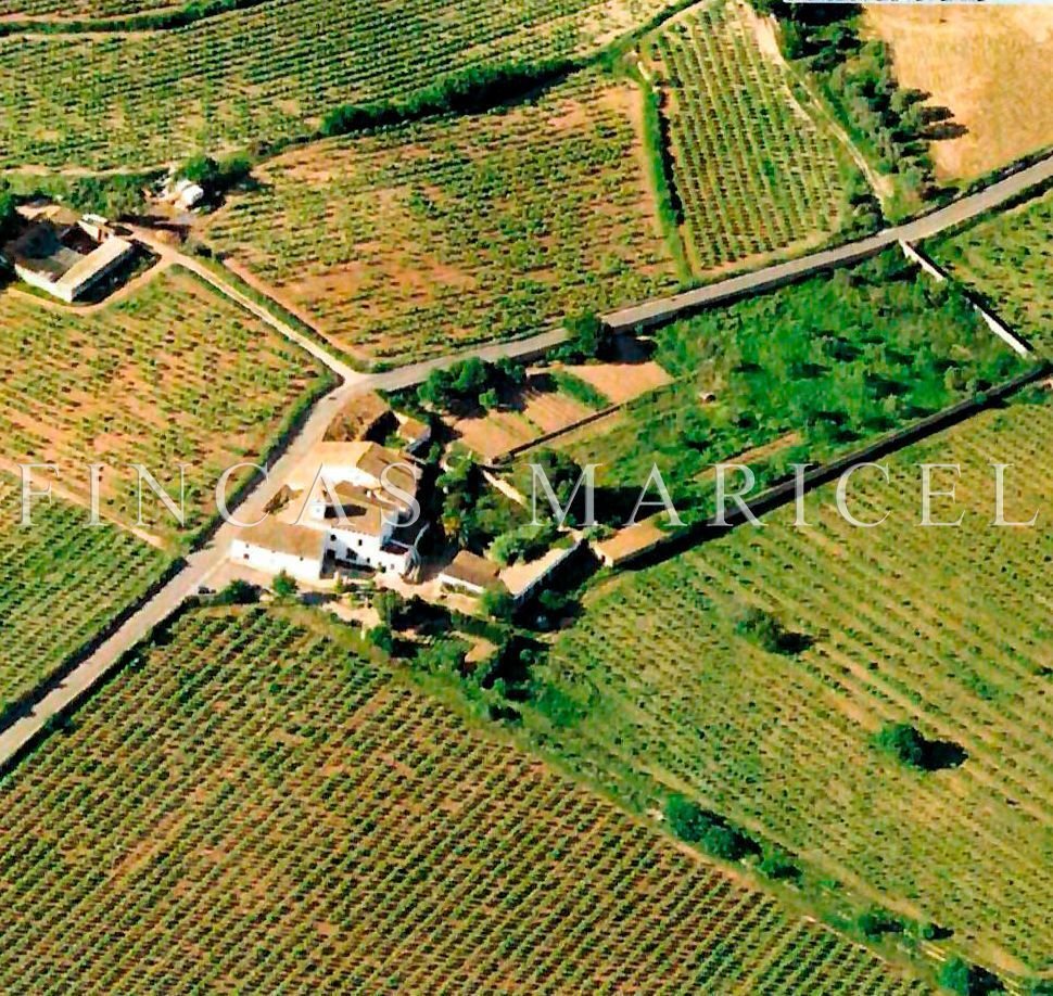 House in Sant Pere de Ribes, Catalonia, Spain 1 - 16924084