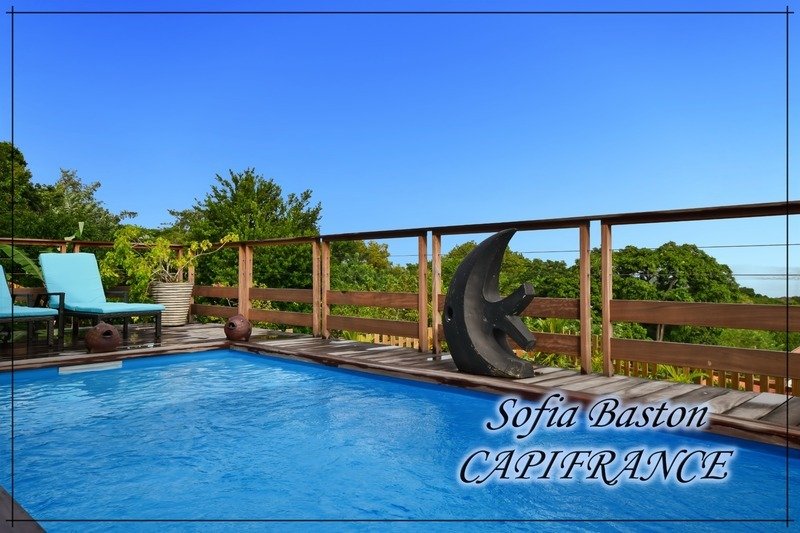 Villa in France 1 - 16925622