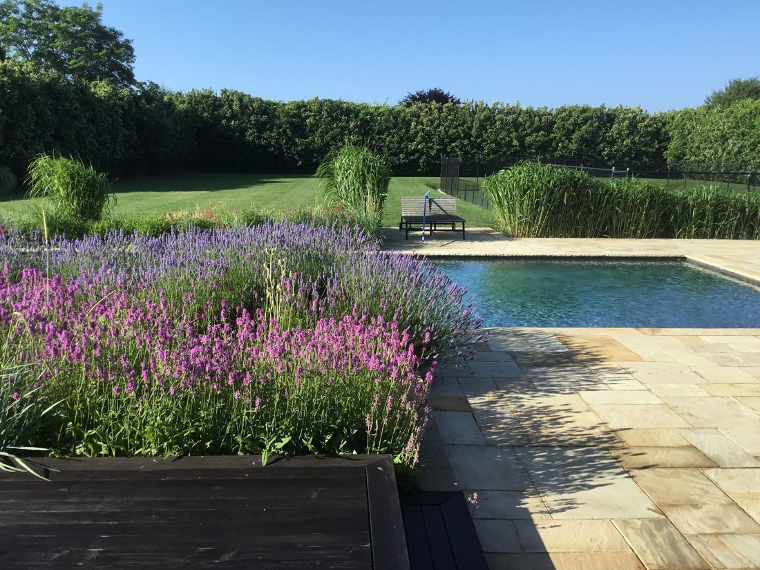 Bridgehampton, New York, United States 1 - 16925542