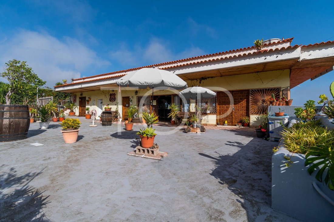 House in Icod de los Vinos, Canary Islands, Spain 2 - 16926885