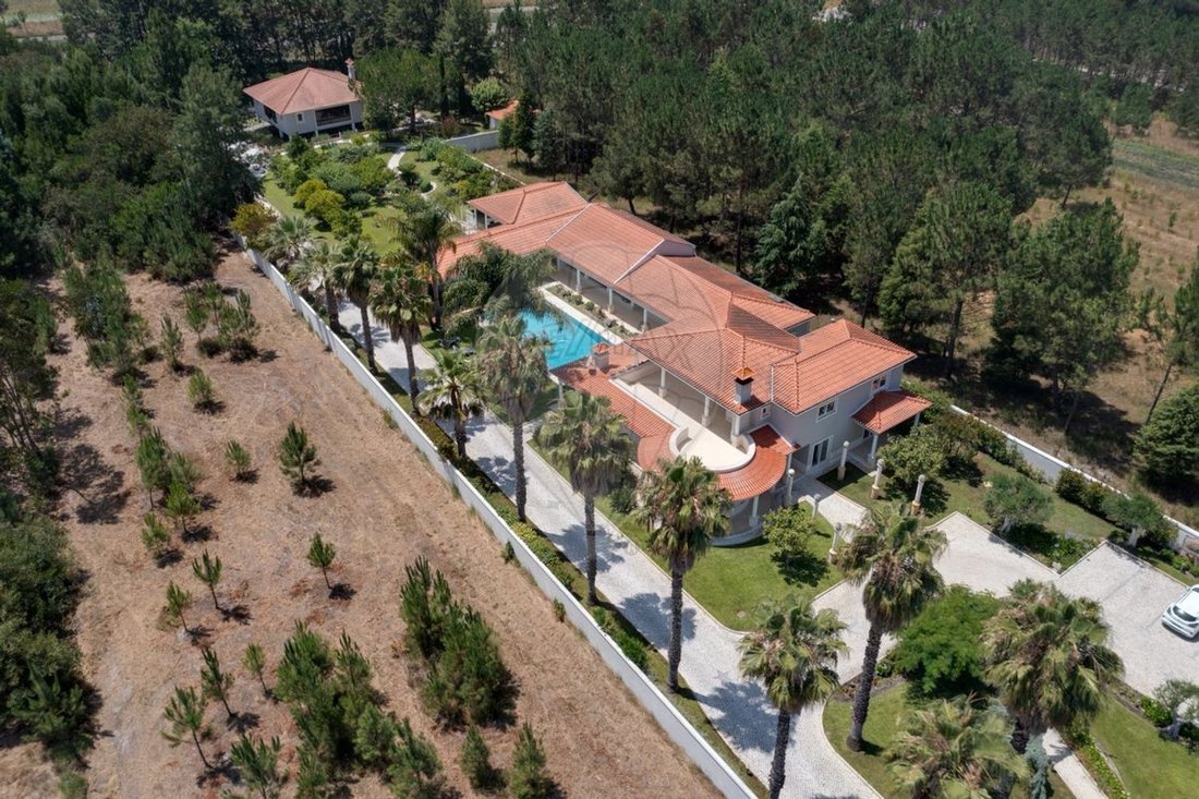 Villa in Vagos e Santo Antonio, Aveiro District, Portugal 2 - 16926797