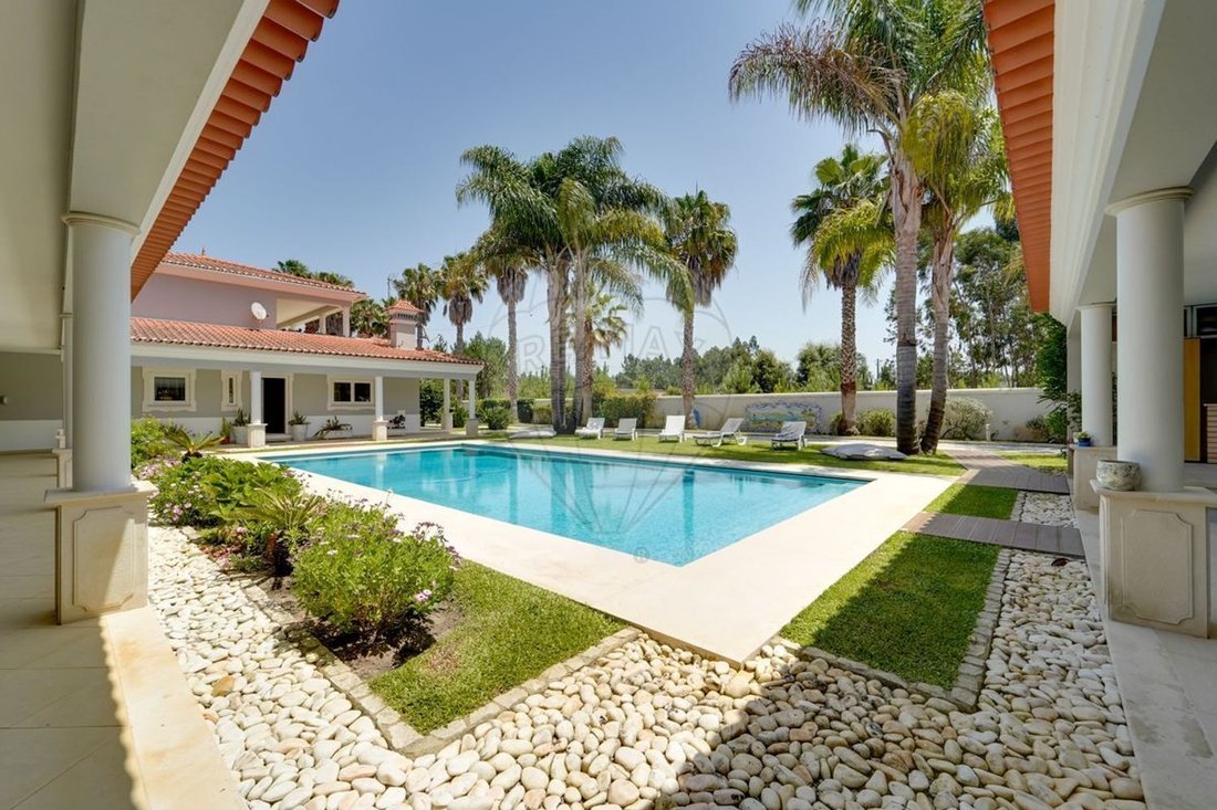 Villa in Vagos e Santo Antonio, Aveiro District, Portugal 4 - 16926797
