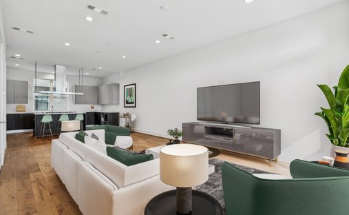 House in Dallas, Texas, United States 1