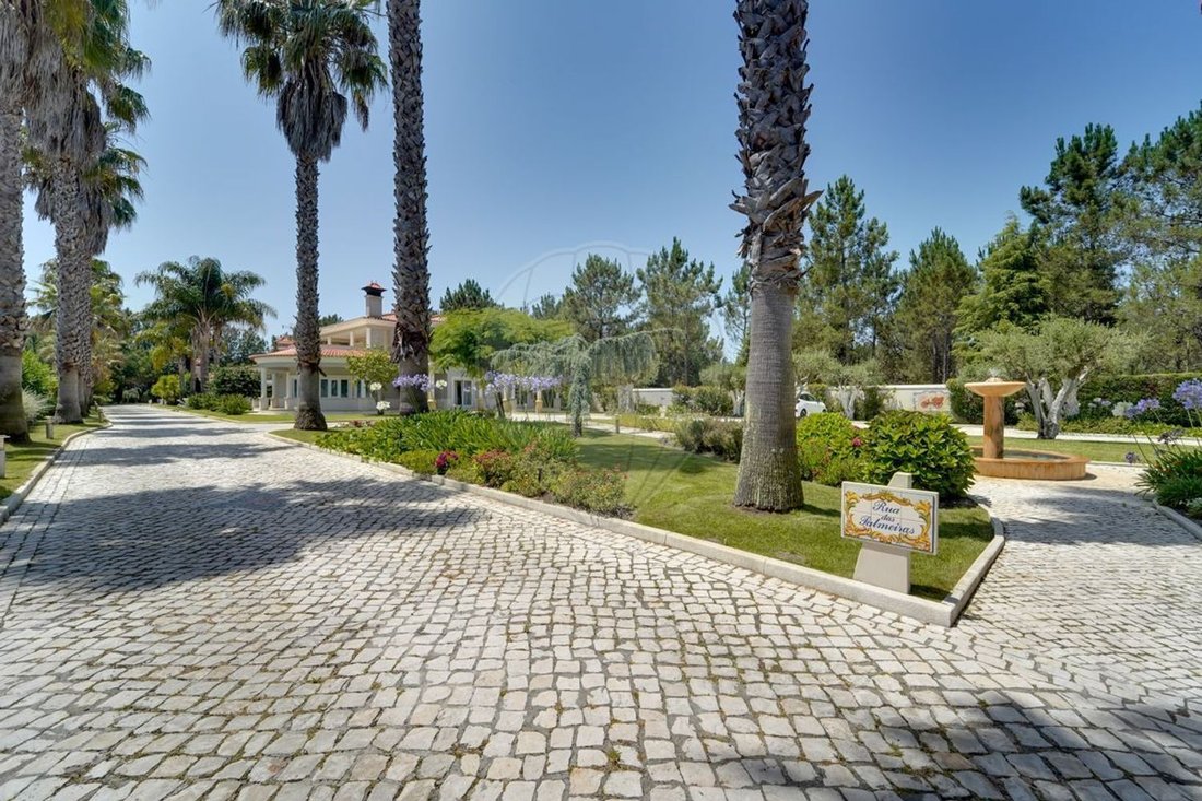 Villa in Vagos e Santo Antonio, Aveiro District, Portugal 3 - 16926797
