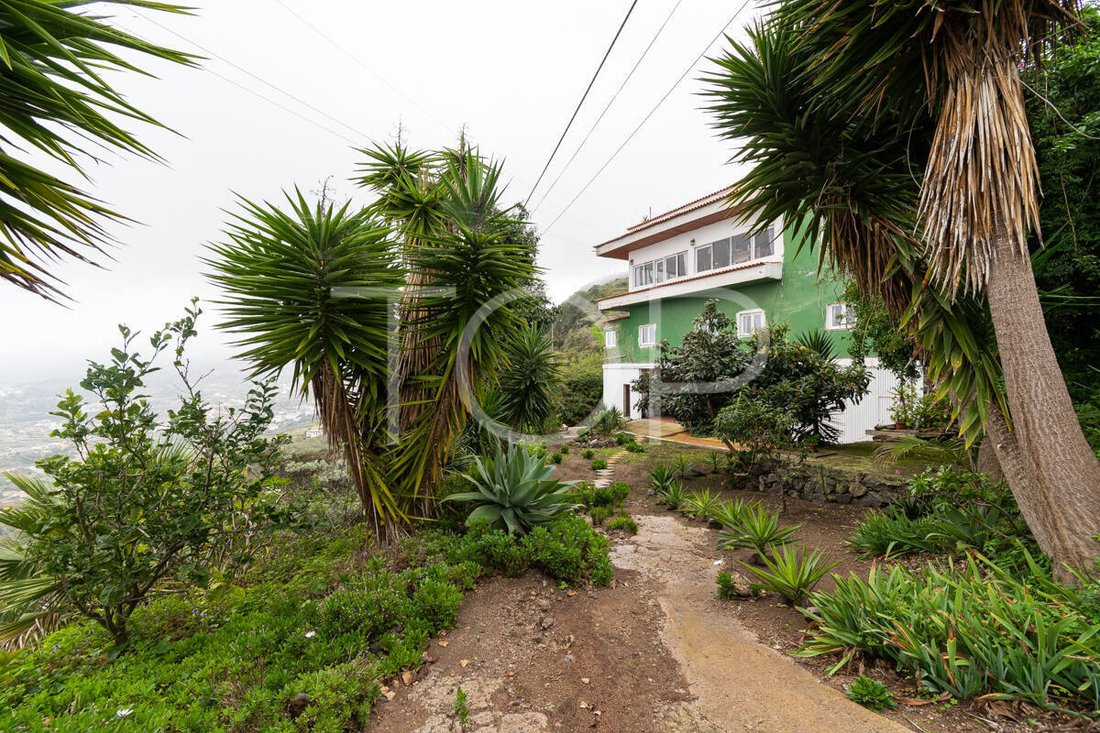 House in Icod de los Vinos, Canary Islands, Spain 3 - 16926885