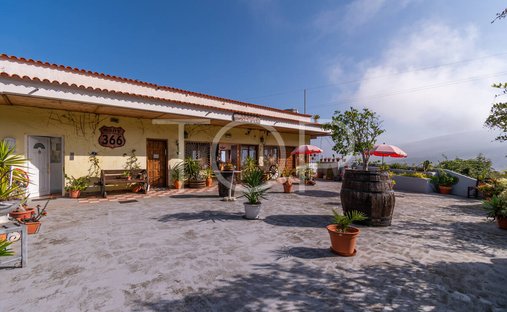 House in Icod de los Vinos, Canary Islands, Spain 1