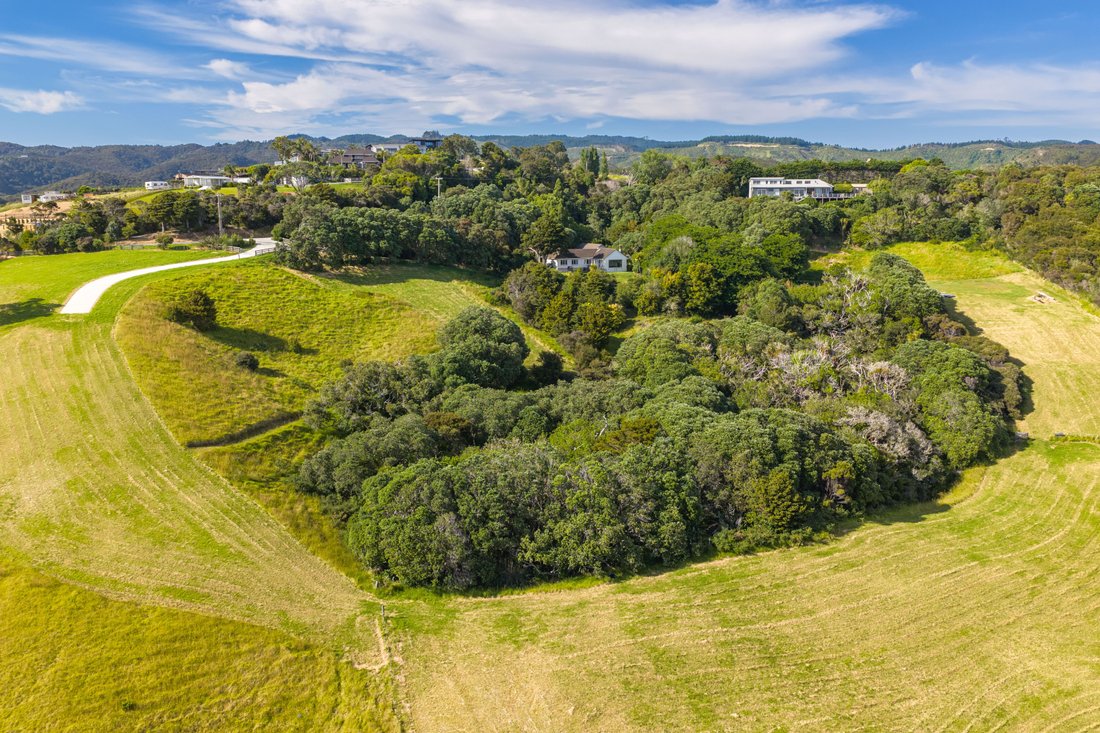 Land in Langs Beach, Northland, New Zealand 5 - 16926506