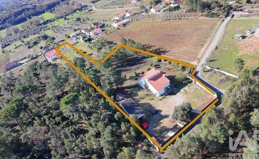 Stadthaus in Madalena e Beselga, Distrikt Santarém, Portugal 1