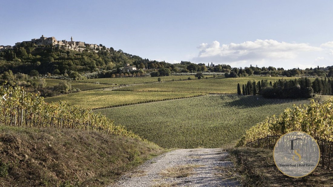 Farm Ranch in Montepulciano, Tuscany, Italy 4 - 16872177