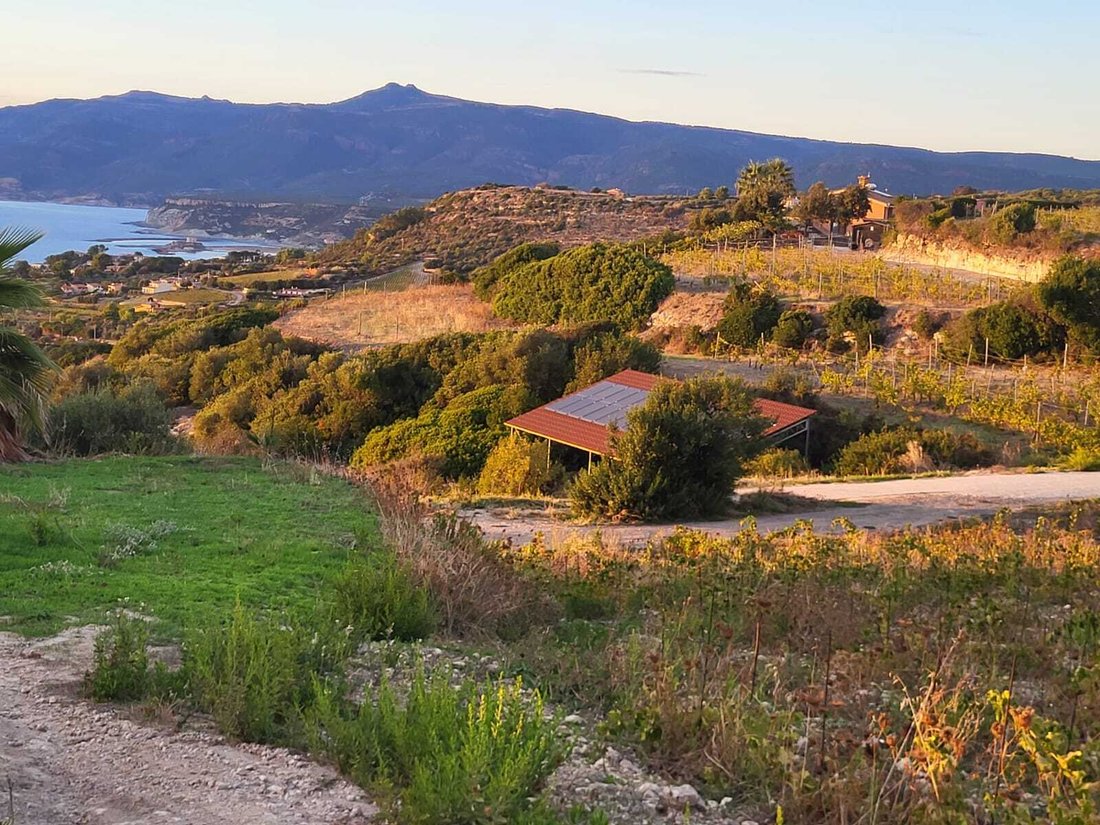 Farm Ranch in Tresnuraghes, Sardinia, Italy 4 - 16935001